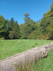 Veszprém