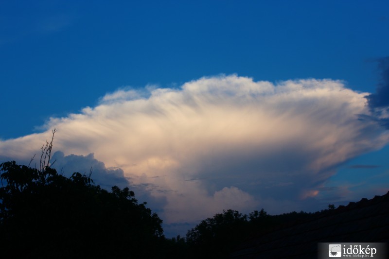 Szétterülő üllő! :)