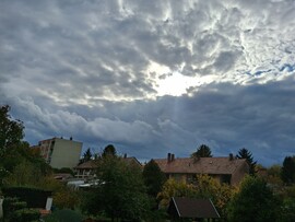 Marcali