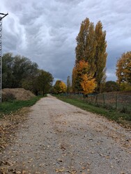 Marcali
