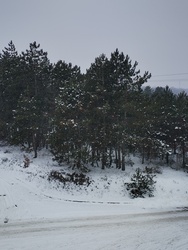 Veszprém