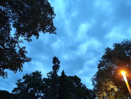 Csikóstőttős