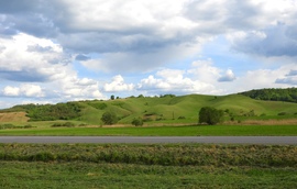 Dombok