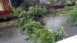 Budapest XX.ker - Pesterzsébet