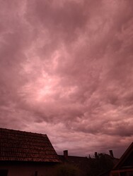 Szakcs