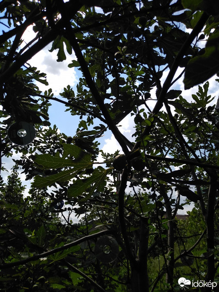 Budapest XXIII.ker - Soroksár