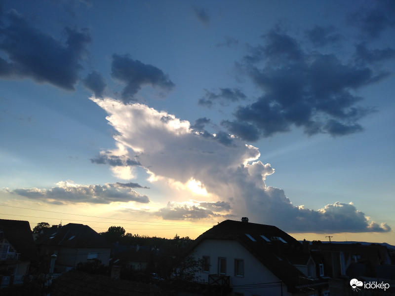 Jön az óriás fehércápa! :D