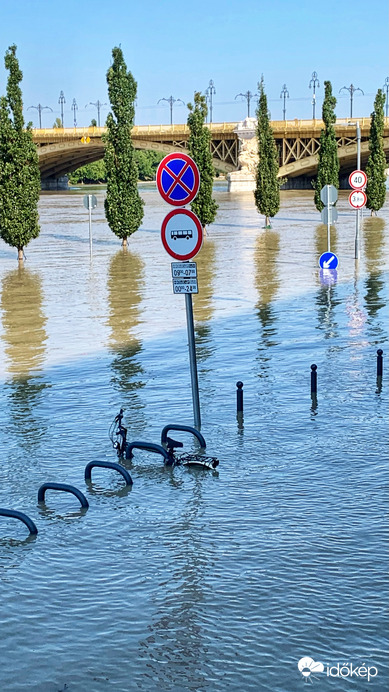 Az ottfelejtett bicikli
