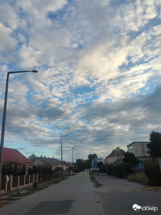 Záhony