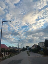 Záhony