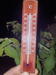 Szarvaskend