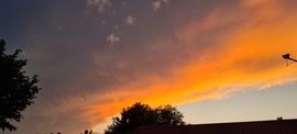 Kecskemét naplemente 