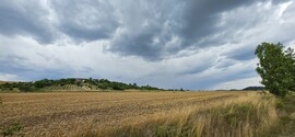 Szuhogy