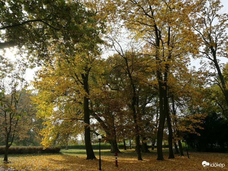 Hédervár
