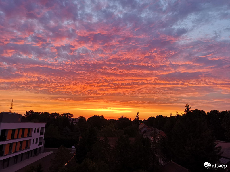GYŐRI REGGEL