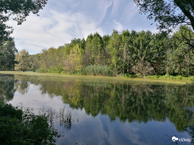 Ásványráró
