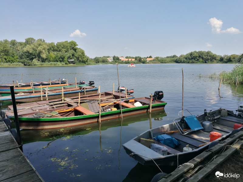 Tisza Tó