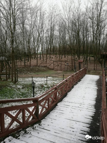 Tényő