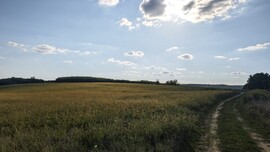 Babosdöbréte