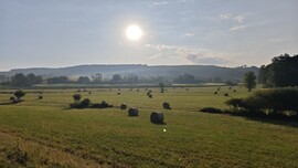 Babosdöbréte