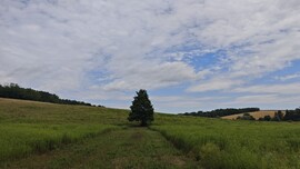 Zalaegerszeg