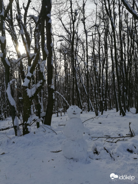 Dobogókő tegnap
