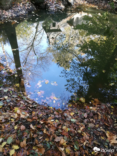 Őszi tükör