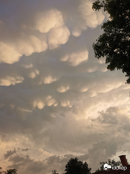 Mammatus