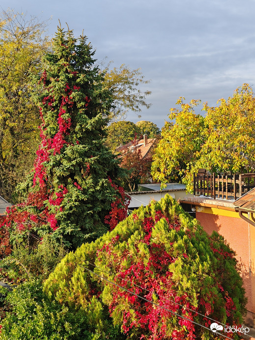 Színek, fények, házak és vezetékek 