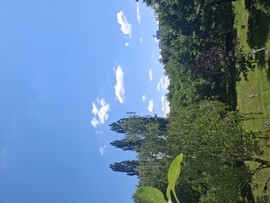 Eger
