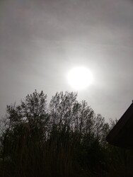 Akasztó