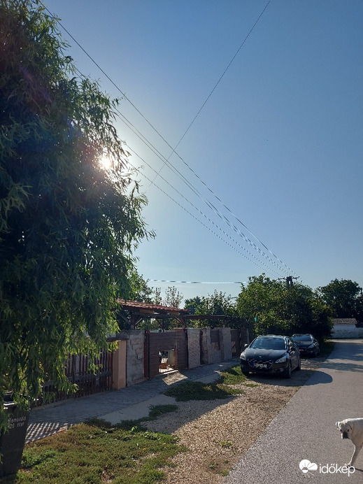 Tiszaszőlős