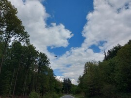 Krommenthal