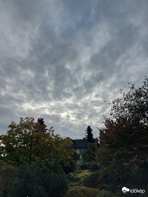 Waldzell