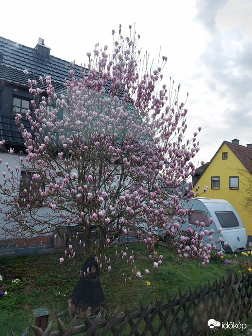 Lohr-Lindig