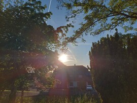Waldzell