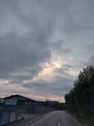 Waldzell