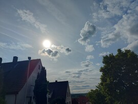 Waldzell