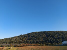 Nantenbach