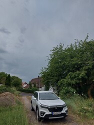 Waldzell