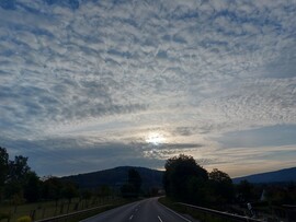 Langenprozelten