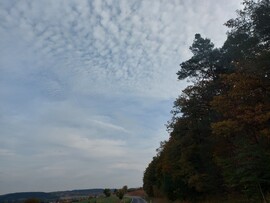 Harrbach