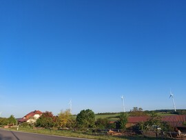 Waldzell
