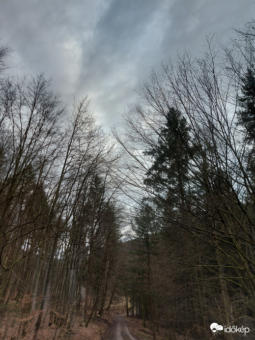 Krommenthal