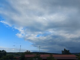 Waldzell