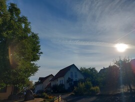 Waldzell