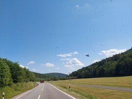 Partenstein