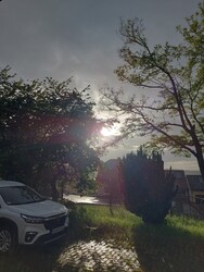 Waldzell