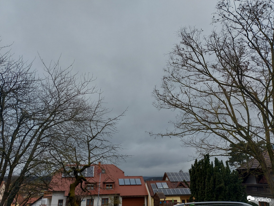 Waldzell