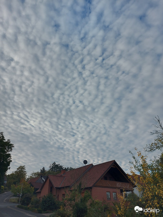 Waldzell